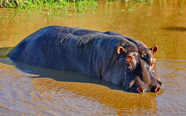 africa-e-oceano-indiano (34).jpg